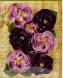Ranunculus PURPLE - 8 Fabric Flowers + 6 Leaves 33-48mmAcross Botanica Pet L2b Ranunculus