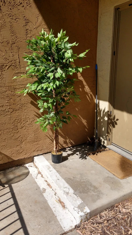 Pre-owned 6' Artificial Ficus Tree, 2-Piece,  Simple Piecing/Separation- Good Green Plant