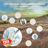 NandT NETING Pampas Grass Decor 101 Pcs Natural Dried Blue Boho Flower Pampas Grass