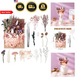 Dried Flowers Set MultiColor Dried Florals for Crafts Resin Candles Decor 2 Dried Flower