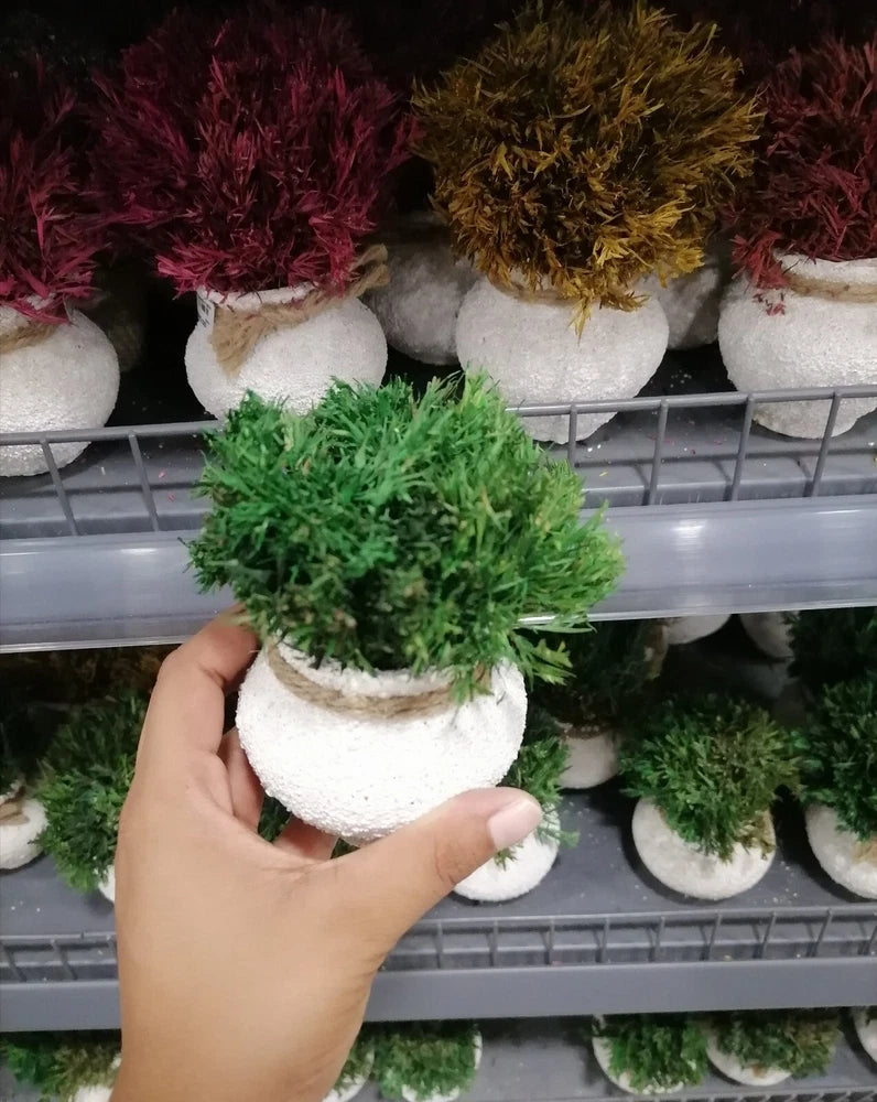 Tabletop Artificial Topiary Tree White Pot Decor Decoration Flower Plants Set Green Plant