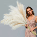 8 Pcs Faux Pampas Grass Decor 38''/97cm Tall Artificial Large Pompous Pompas ... Pampas Grass