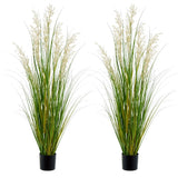 Plant 47in120cm Tall 2pk Grass, Onion Artificial Greenery Floor Plants Faux Pampas Grass
