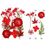 Real Dried Flower Natural Dry Plants Candle Epoxy Necklace Making Craft DIY a Dried Flower