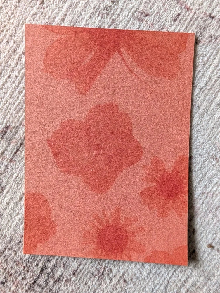 Original ACEO Botanical Floral Art Ð Light-Kissed Wildflower IV-OOAK #4 Hydrangea