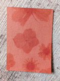 Original ACEO Botanical Floral Art Ð Light-Kissed Wildflower IV-OOAK #4 Hydrangea