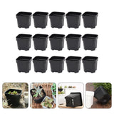 15 Pcs Plastic Nursery Plant Pots Small Flower Pots Garden Plant Pots Black Garden Plants