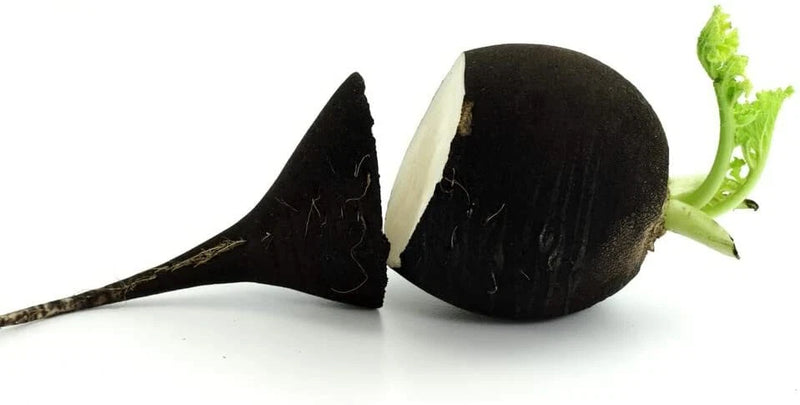 250 Black Radish Seeds for Planting Rare Garden Vegetable Garden Plants