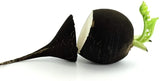 250 Black Radish Seeds for Planting Rare Garden Vegetable Garden Plants