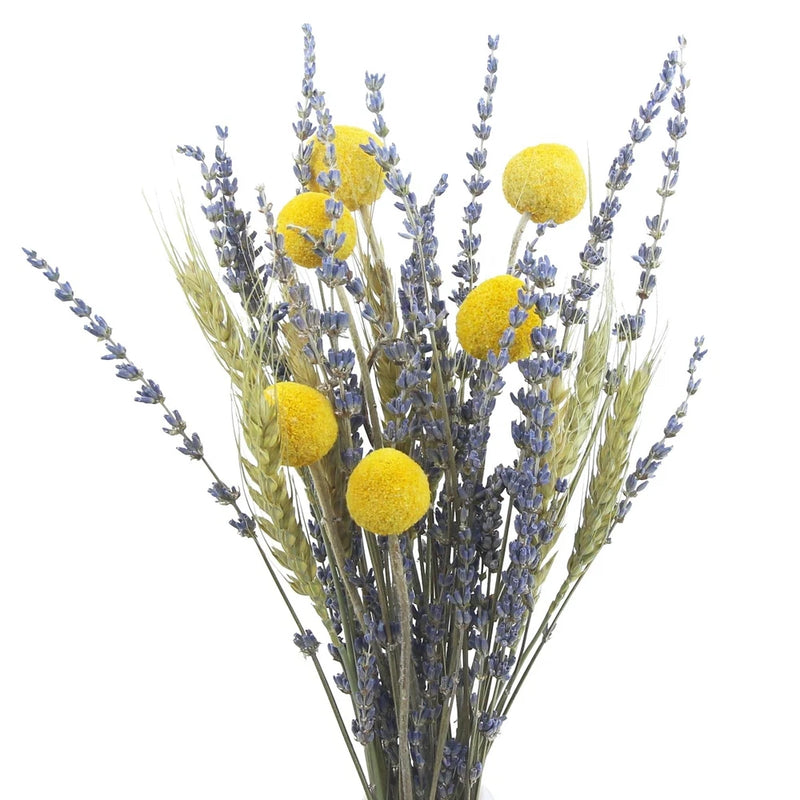 Natural Wheat Stalks & Lavender Dried Flowers Bouquet Bundle for Crafts Decor Dried Flower