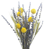 Natural Wheat Stalks & Lavender Dried Flowers Bouquet Bundle for Crafts Decor Dried Flower