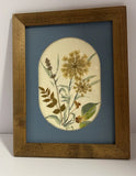 Vintage Botanical Art with Pressed Dried Flowers  Wood Frame  7.25 inch by 9 in Dried Flower