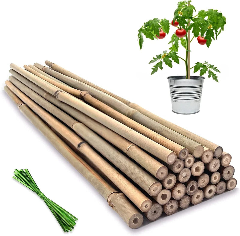 Natural bamboo plant support stakes, 18-inch sticks with cut ends, set of 20