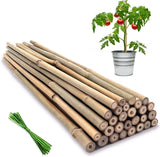 Plant Stakes,18 Inches Natural Garden Bamboo Sticks, 20Pcs Plant Support Stakes Garden Plants