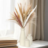 Ceramic Vase Set of 6 with 100 Pcs Dried Pampas Grass Flowers, Modern Boho Fa... Pampas Grass