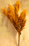 NWT Ashland Bush of Gold Pampas Grass - Approx. 21" Tall x 7" Long x 5" Wide Pampas Grass