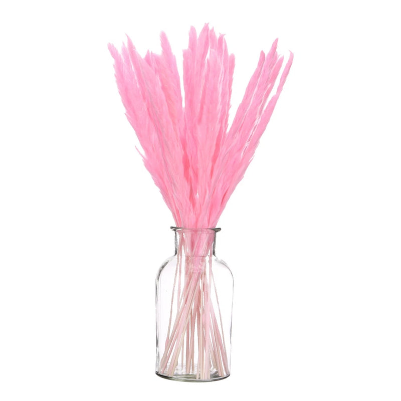 Deep Pink Pampas Grass Decor,  30PCS 17 Inch(Length) Pampas Grass Bundle Pampas Grass