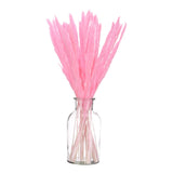 Deep Pink Pampas Grass Decor,  30PCS 17 Inch(Length) Pampas Grass Bundle Pampas Grass