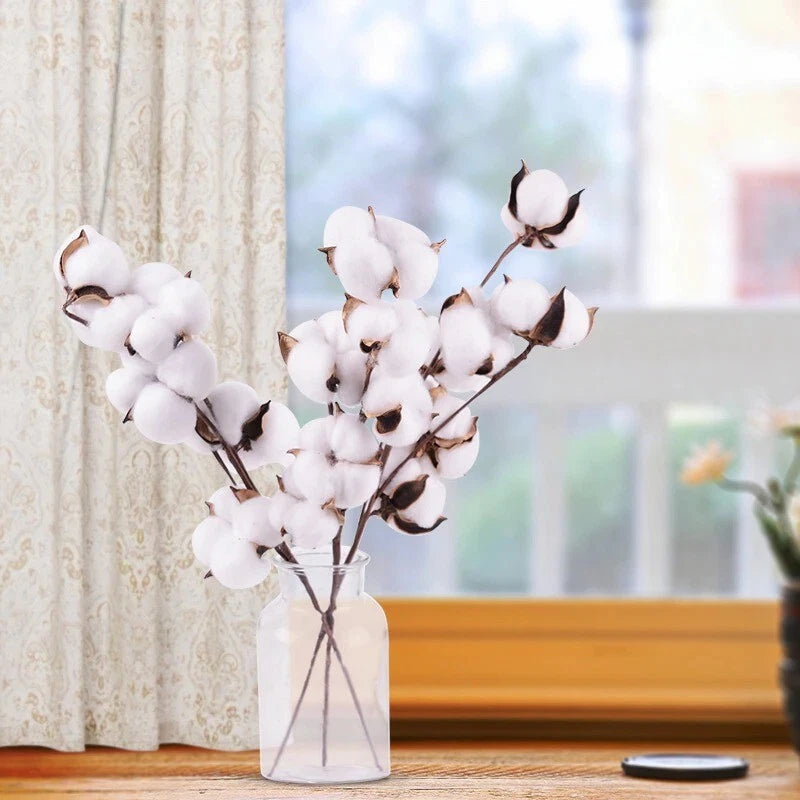 Natural Dried Cotton Stems Farmhouse Artificial Flower  Floral  home Decor New Dried Flower