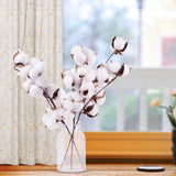 Natural Dried Cotton Stems Farmhouse Artificial Flower  Floral  home Decor New Dried Flower