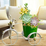 KRAFTSKALA Iron Flower Pot for Bonsai Plants with Drainage HoleÐTricycle-Green Garden Plants