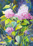 Hydrangeas Flowers Watercolor Painting Original Floral Art Spring Flowers Hydrangea