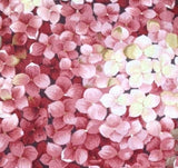 1/2 yd 43"W Hydrangea Floral Blossom Lake House Quilting Craft Fabric LH03011 Hydrangea