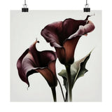 Maroon Calla Lilies Flower Art Print, Flower Painting, Flower DŽcor 03 Lily