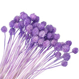 60 Pcs 16 Inch Dried Flowers for Vase Mini Pine Ball Flowers Purple(Stem) Dried Flower