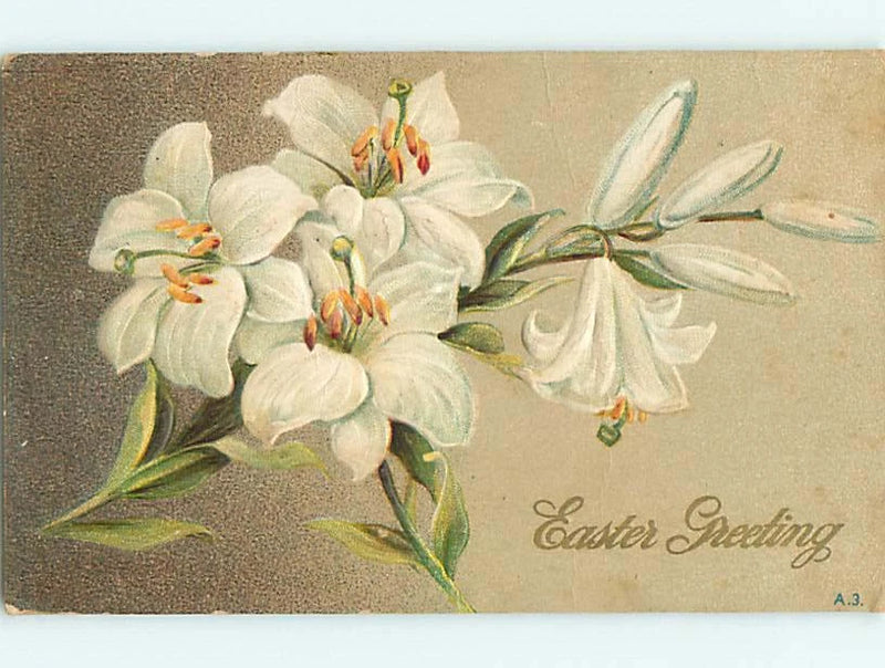 Divided-Back easter BEAUTIFUL LILY FLOWERS : make an offer r2995 Lily