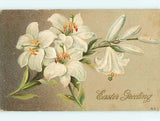 Divided-Back easter BEAUTIFUL LILY FLOWERS : make an offer r2995 Lily