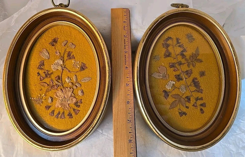 Pair of oval pressed flower wall art, gold frames with dried botanical leaves on yellow