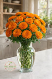 300 BallÕs Orange Calendula Seeds (Calendula officinalis) Edible Landscape USA Garden Plants
