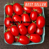 50+ Seeds Sugar Bomb Grape Tomato Easy to Grow Vegetable Garden Planting Garden Plants