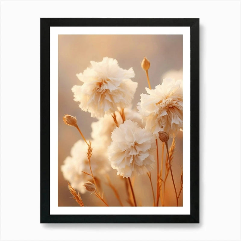 Framed wall art with white dried carnation flowers and stems in a black frame