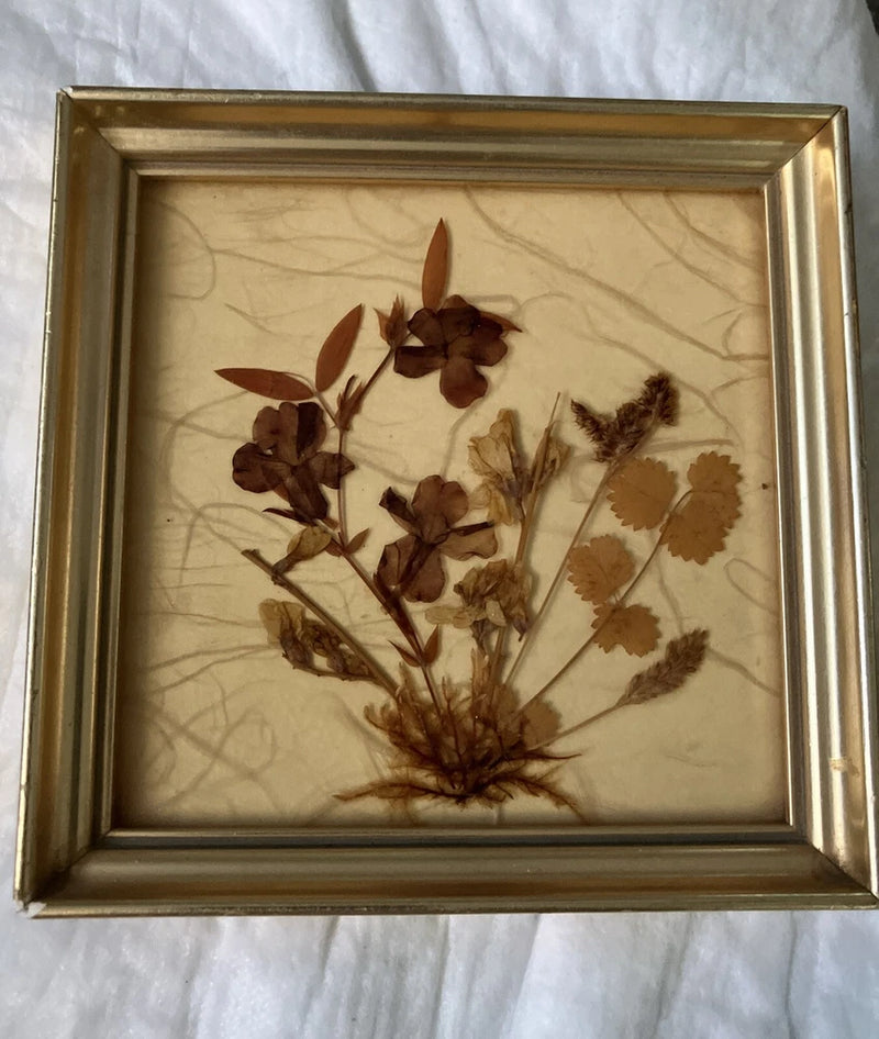 Pressed dried flowers mounted in a golden painted frame, botanical arrangement