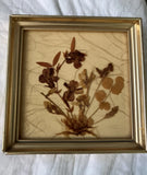 VTG Pressed Dried Flowers.  Mounted In golden painted frame.  Made in W. Germany Dried Flower