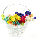 100 Pcs Flower Mini Daisy Dried Flowers Natural Floral Decoration Dried Flower