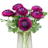 Artificial Ranunculus Flowers with Real Touch Stem,Silk 6, Purple Ranunculus