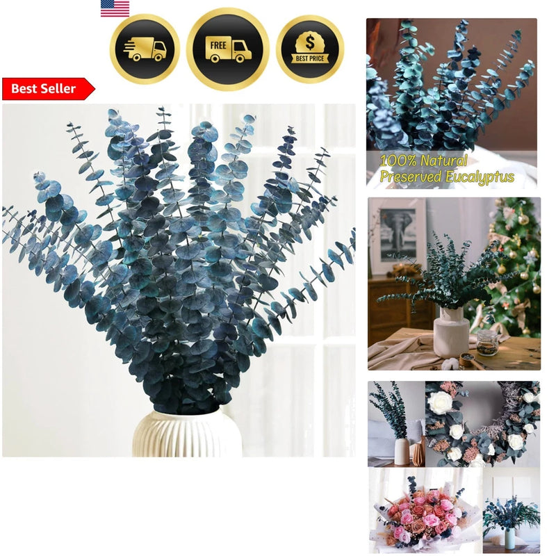 Blue-green preserved eucalyptus stems, bundled bunch in a white vase.