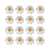 precut edible white daisy Daisies Flower cupcake Toppers Birthday Wedding decor Daisies