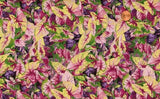 CLEARANCE - 28" 'PAINTED MEADOW' COLORFUL FOLIAGE - RJR Flowering Plants