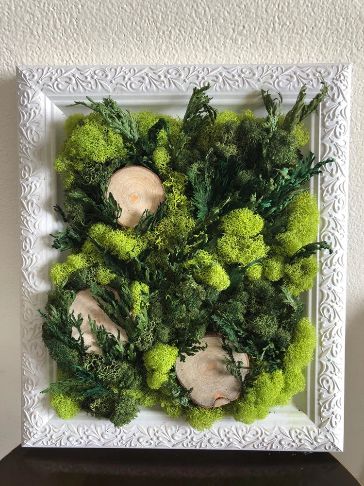 Preserved Moss Wall Art, USA Store Green Plant