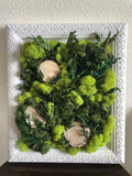 Preserved Moss Wall Art, USA Store Green Plant