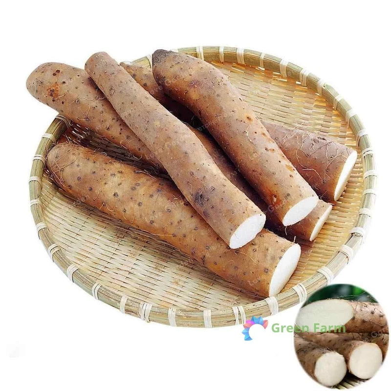 6 Seeds Dioscorea Polystachya Chinese Yam Cinnamon Vine Huaishan Edible Tubers Flowering Plants