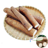 6 Seeds Dioscorea Polystachya Chinese Yam Cinnamon Vine Huaishan Edible Tubers Flowering Plants