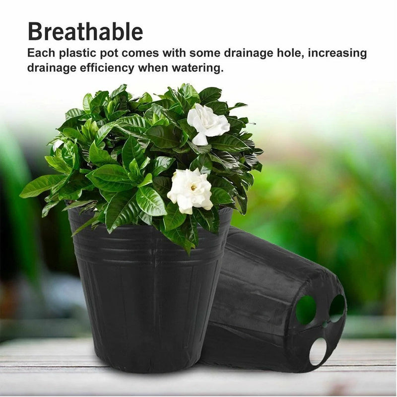 Black plastic nursery pot with drainage holes, holding white flowers