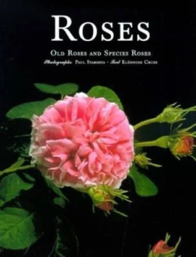 Hardcover book cover with pink rose blossom and green leaves, titled 'ROSES'.