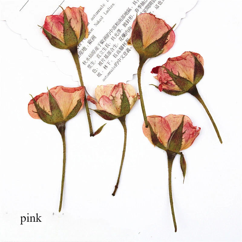 Set of dried rose flower bookmarks with pink petals on stems