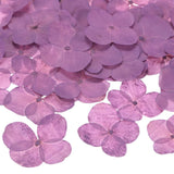 12-Pack Dried Pressed Flowers for Resin, Real Natural Bulk Dry Floral [Purple] Dried Flower